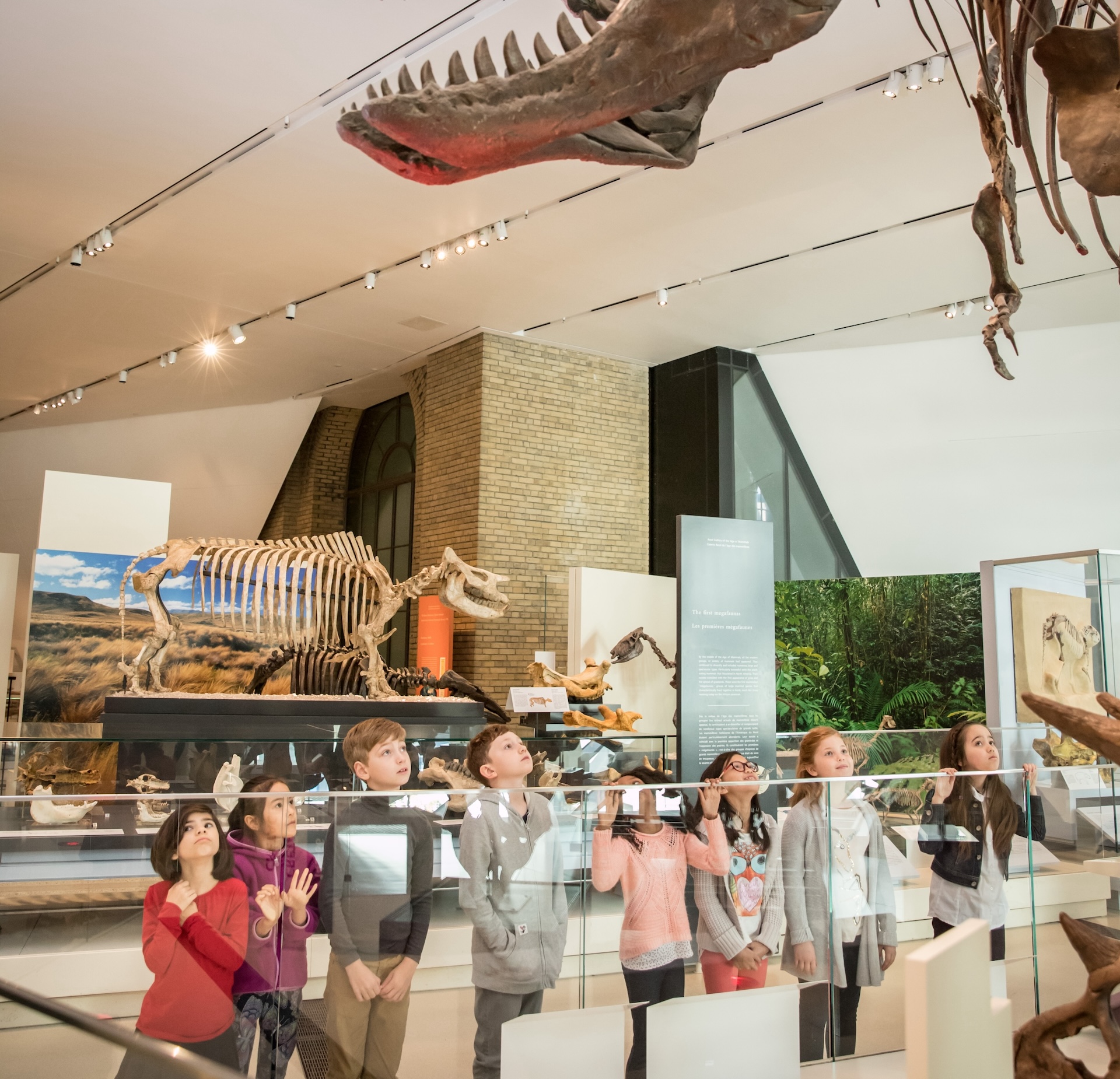 Children and adults looking at museum exhibits with dinosaur skeletons suspended above.