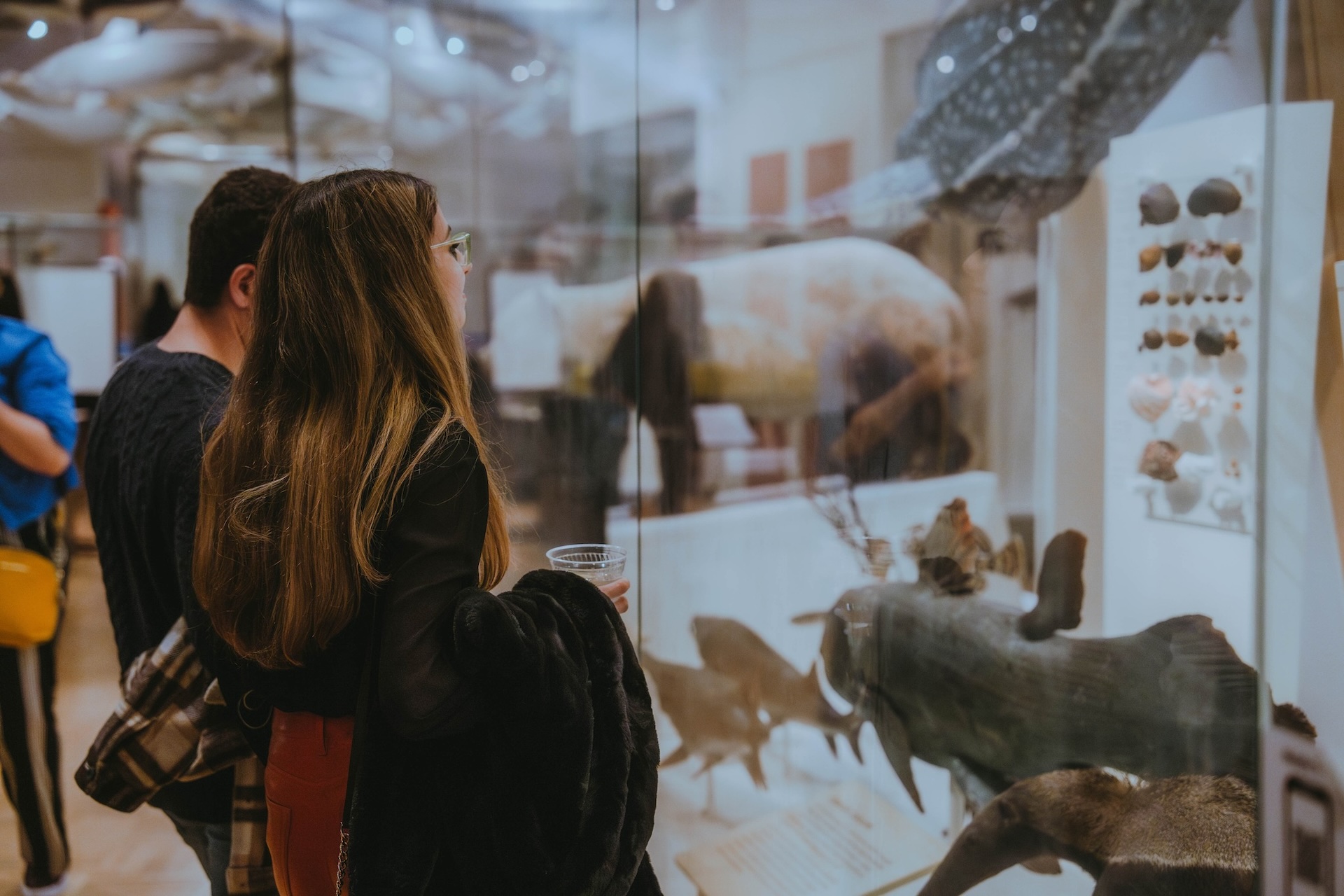 Two people looking at taxidermy animals displayed in glass cases at a museum exhibit.