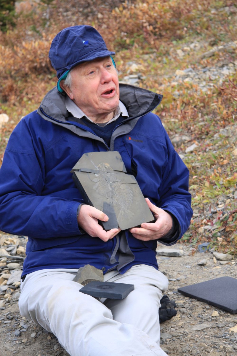 An older man wearing a blue jacket and hat holds a dark, irregularly shaped artifact outdoors.