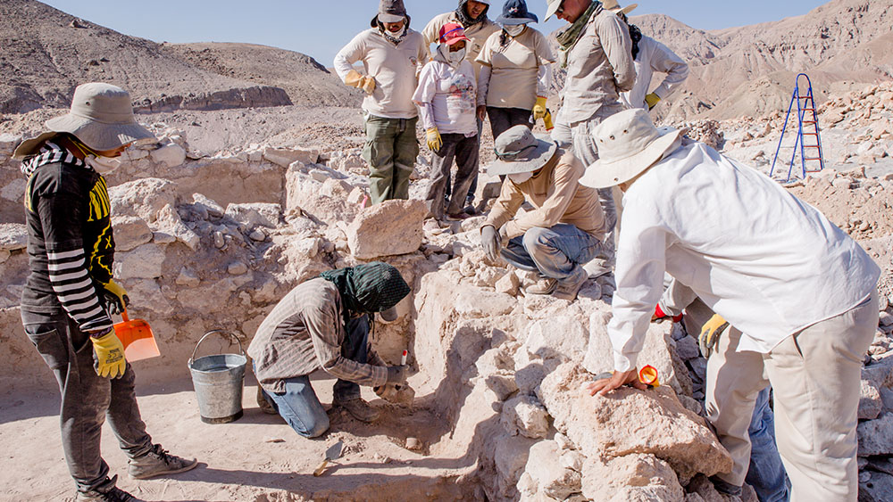 Archaeologists onsite in the field.