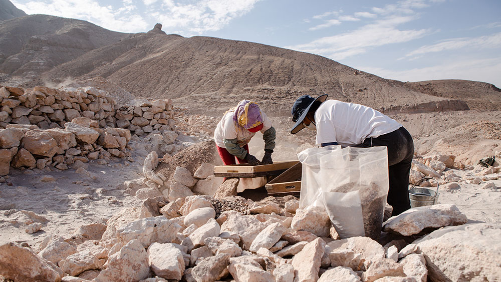 Archaeologists onsite in the field.