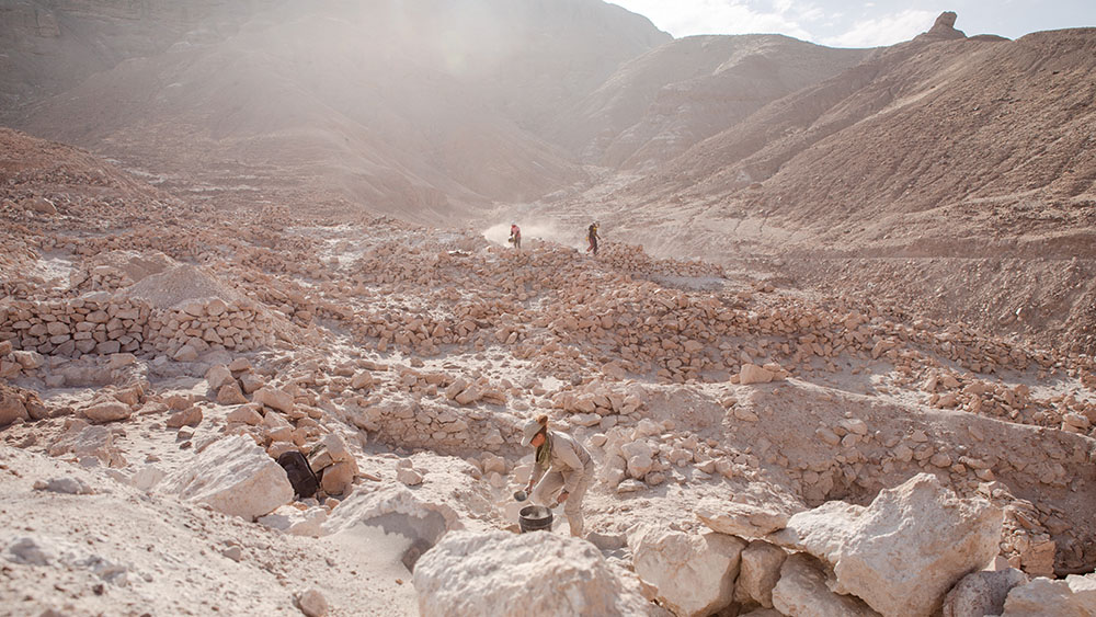 Archaeologists onsite in the field.