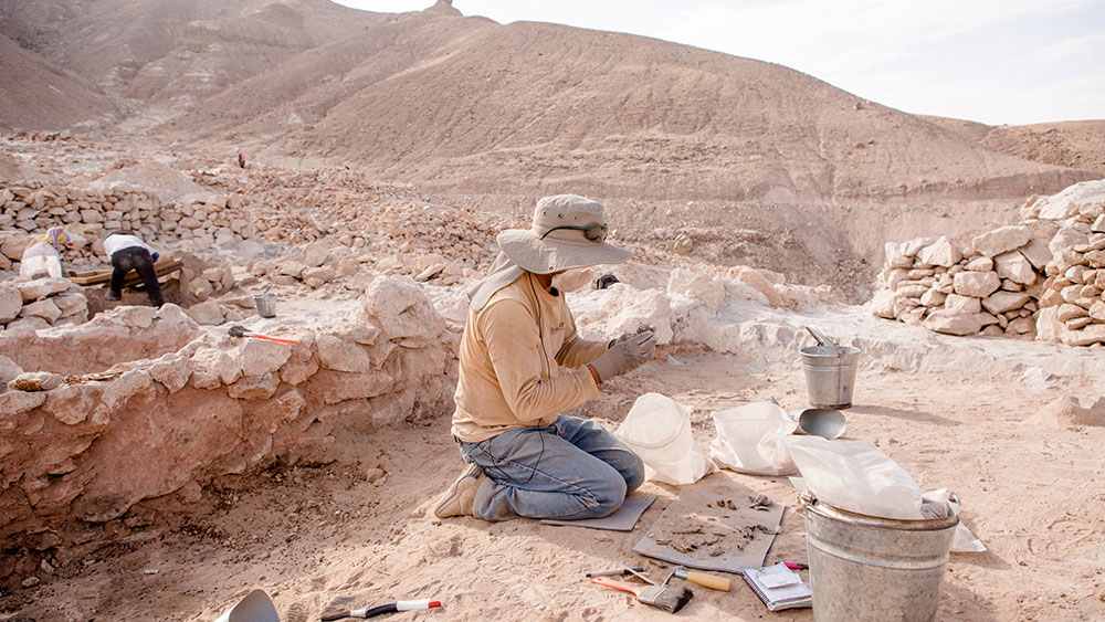 Archaeologists onsite in the field.