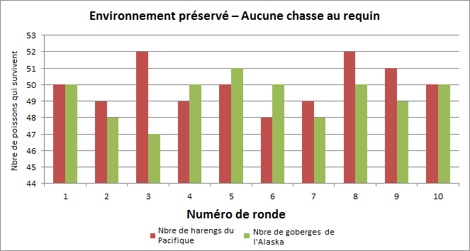 Requins, proies et comportement