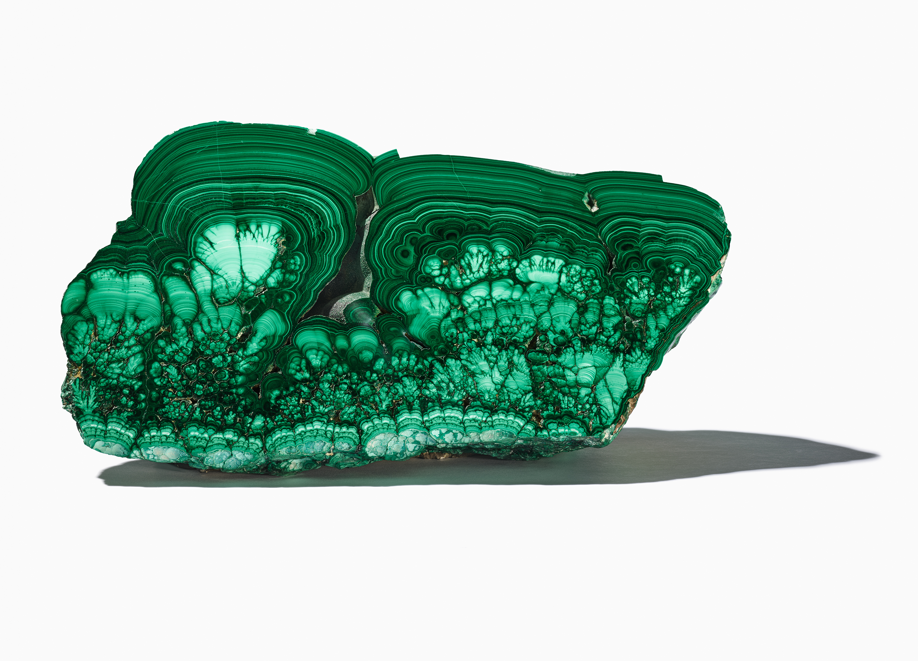 Polished green and dark green malachite mineral specimen casting a shadow on a white surface.