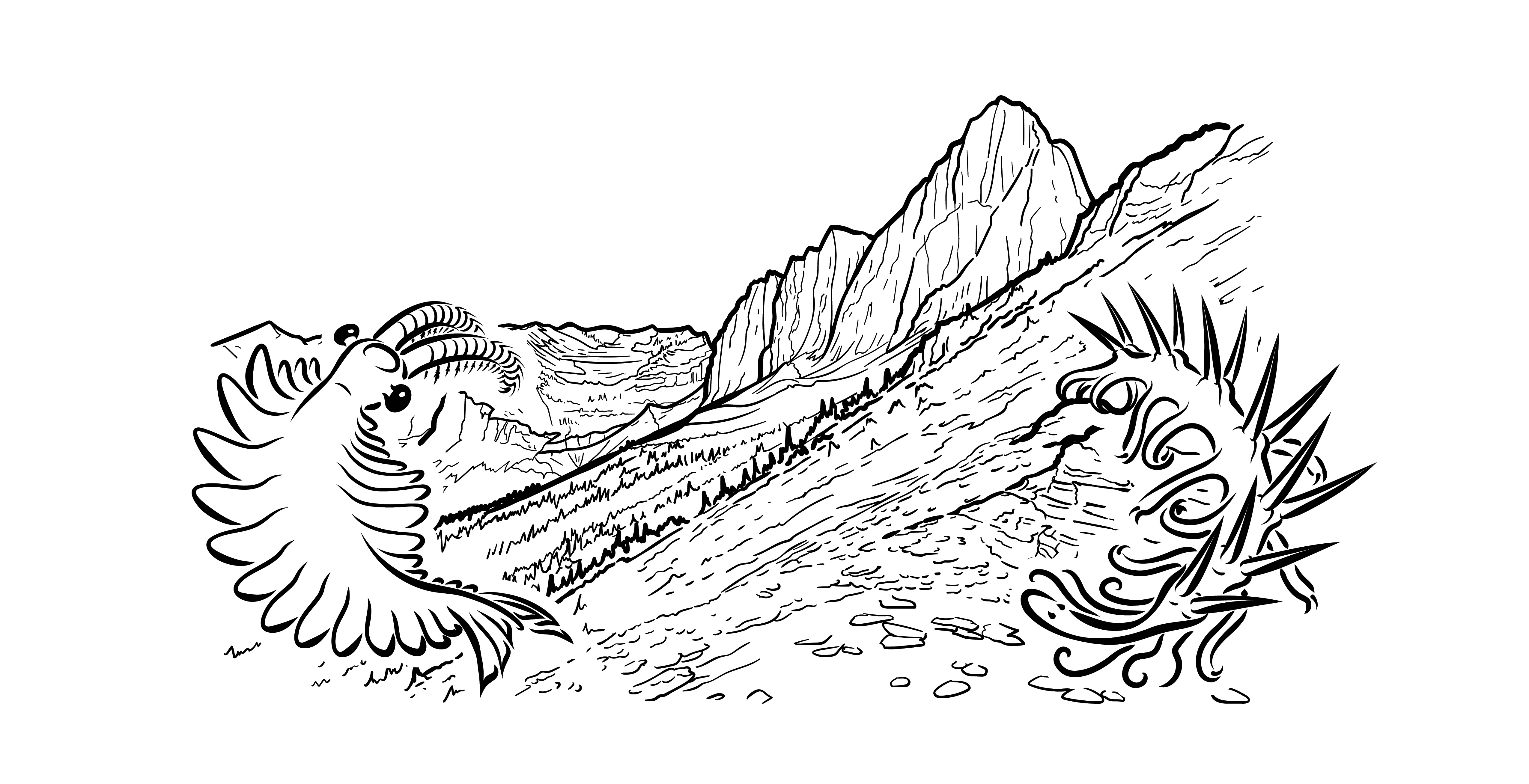Burgess Shale drawing