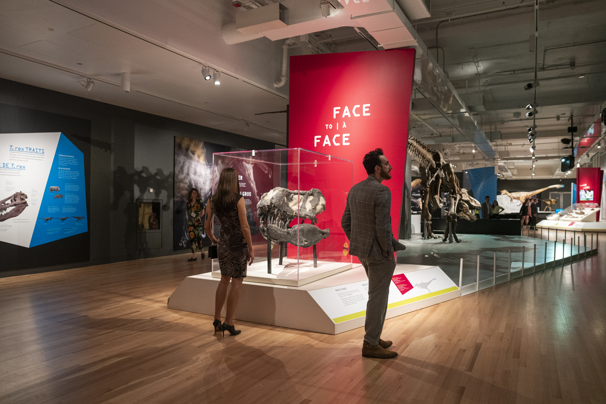 Intérieur d'une galerie de musée montrant deux visiteurs debout près d'un panneau rouge indiquant "FACE to FACE" au-dessus d'une exposition de fossiles.