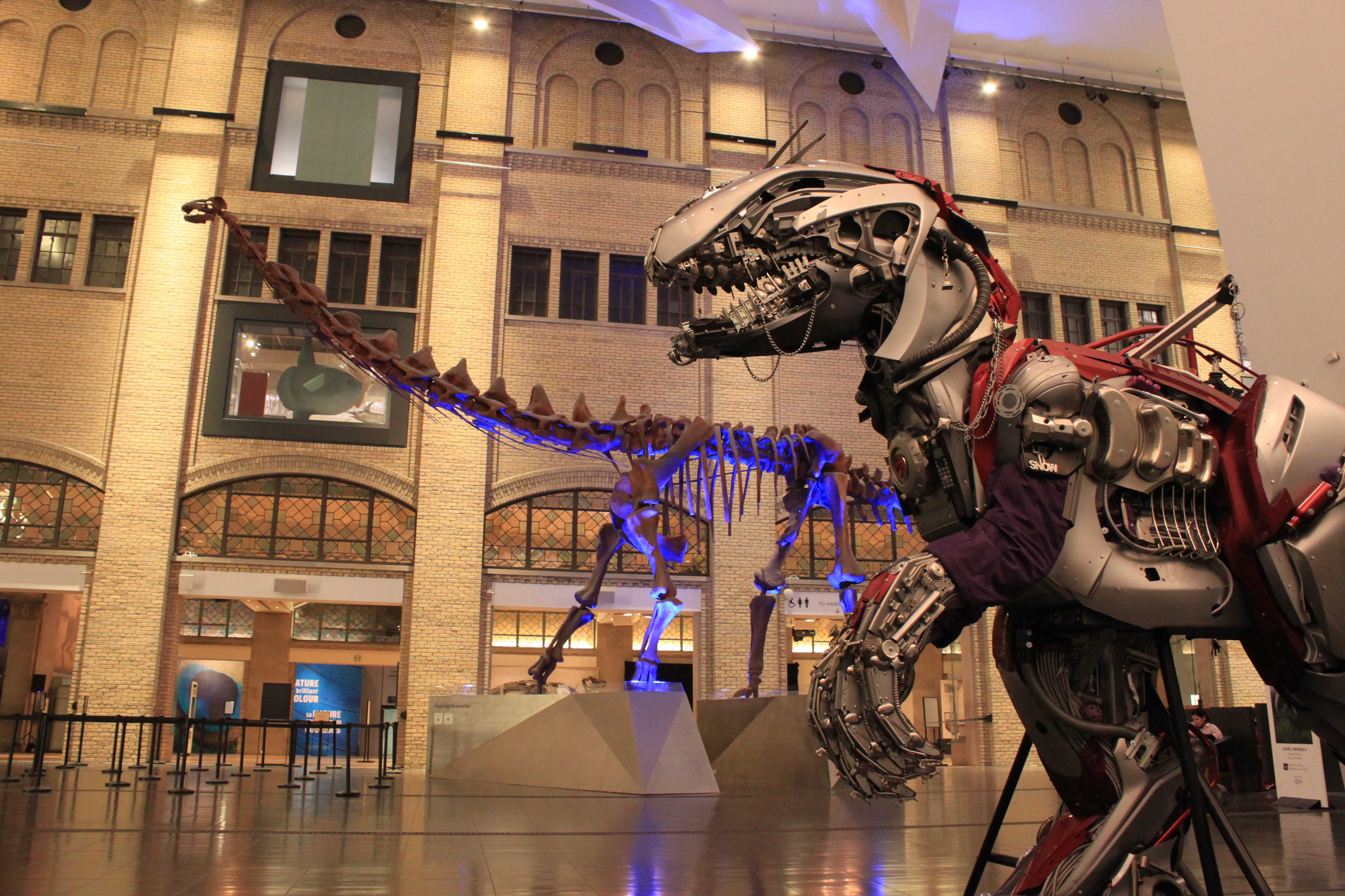 Skeleton of a large dinosaur displayed in a spacious, well-lit museum hall with arched windows and a high ceiling.