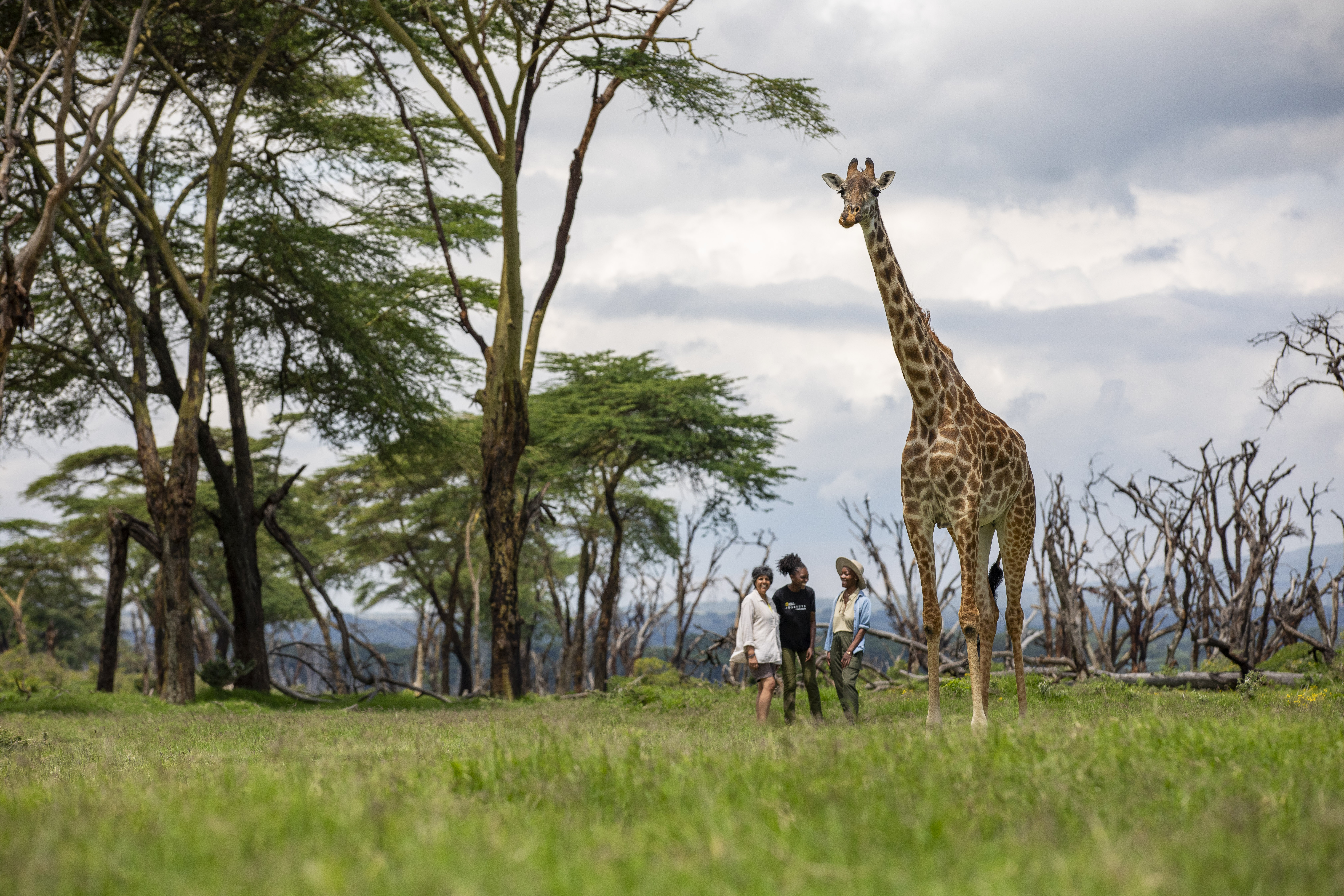 Two people stand near a tall giraffe in a grassy area with scattered trees under a cloudy sky.