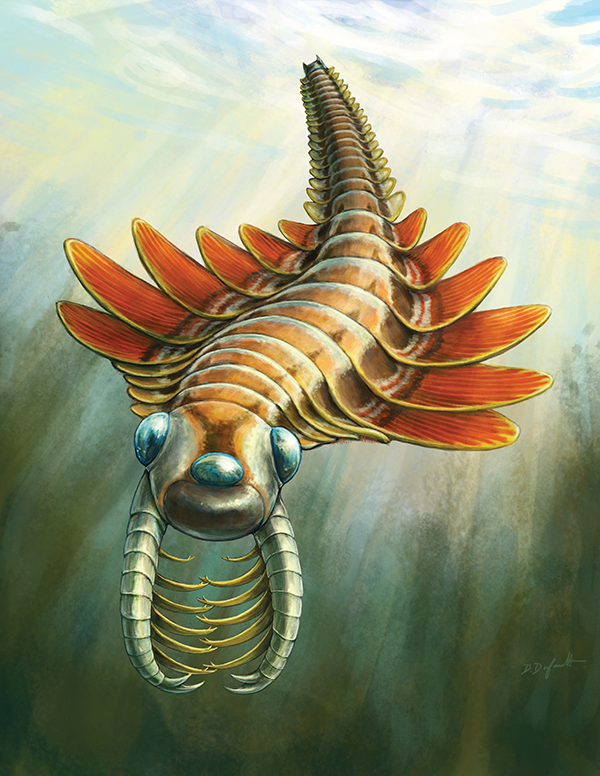 Life reconstruction of Mosura fentoni, art by Danielle Dufault © ROM