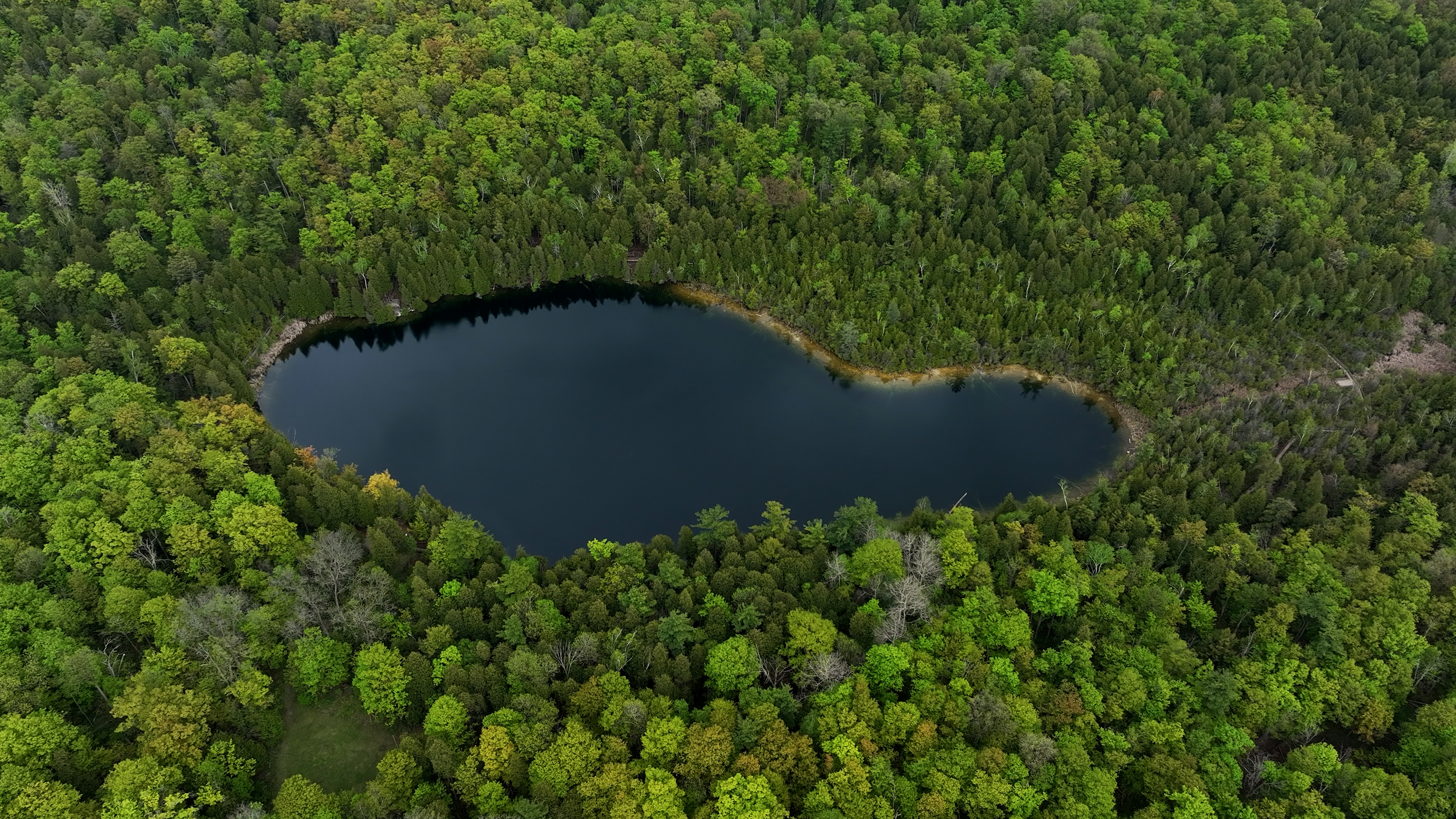Arial view still of Crawford Lake taken from video