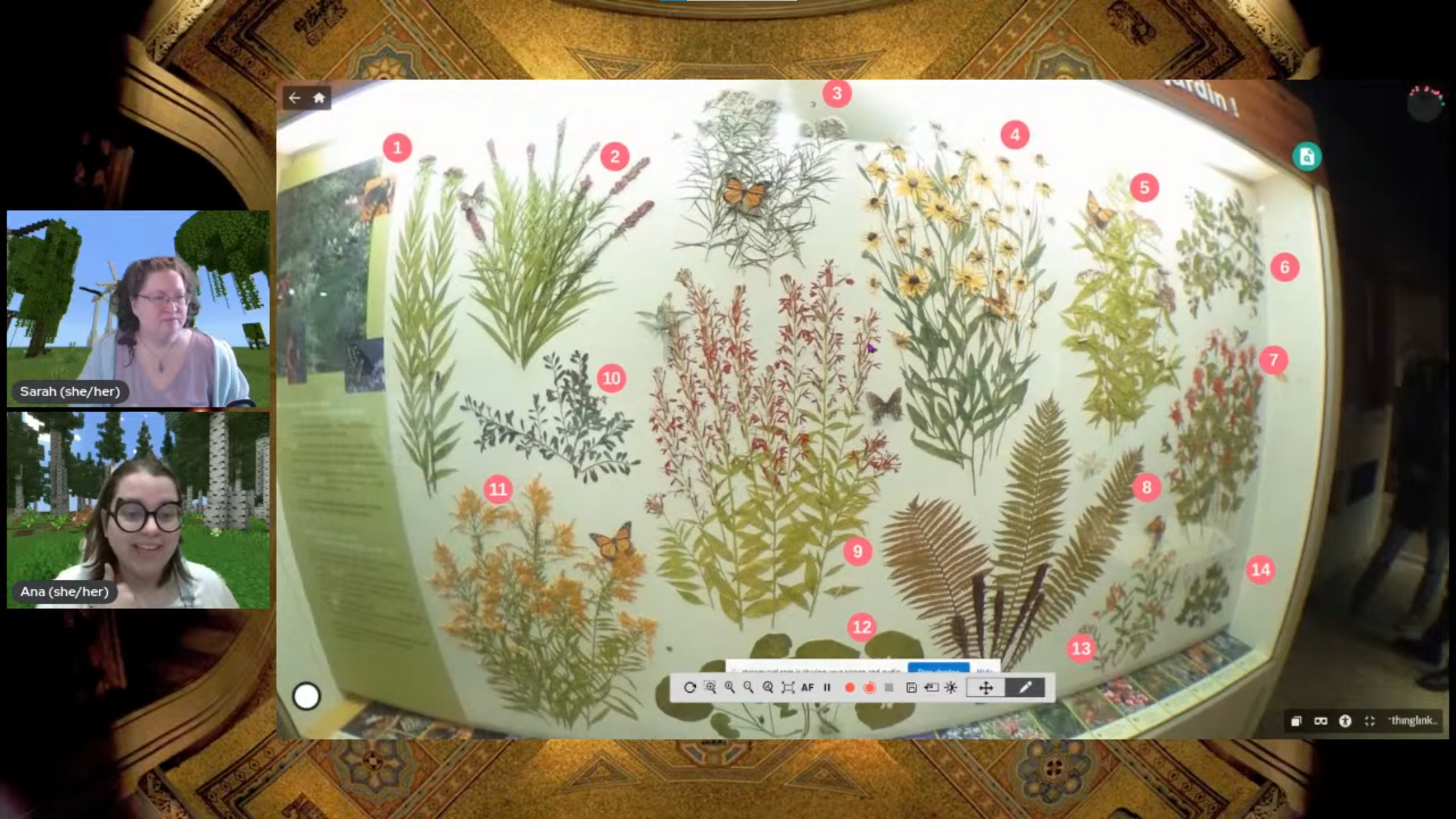 A museum display showing a variety of pressed flowers with numbers overlaid on top. On the left are two facecams of smiling women.