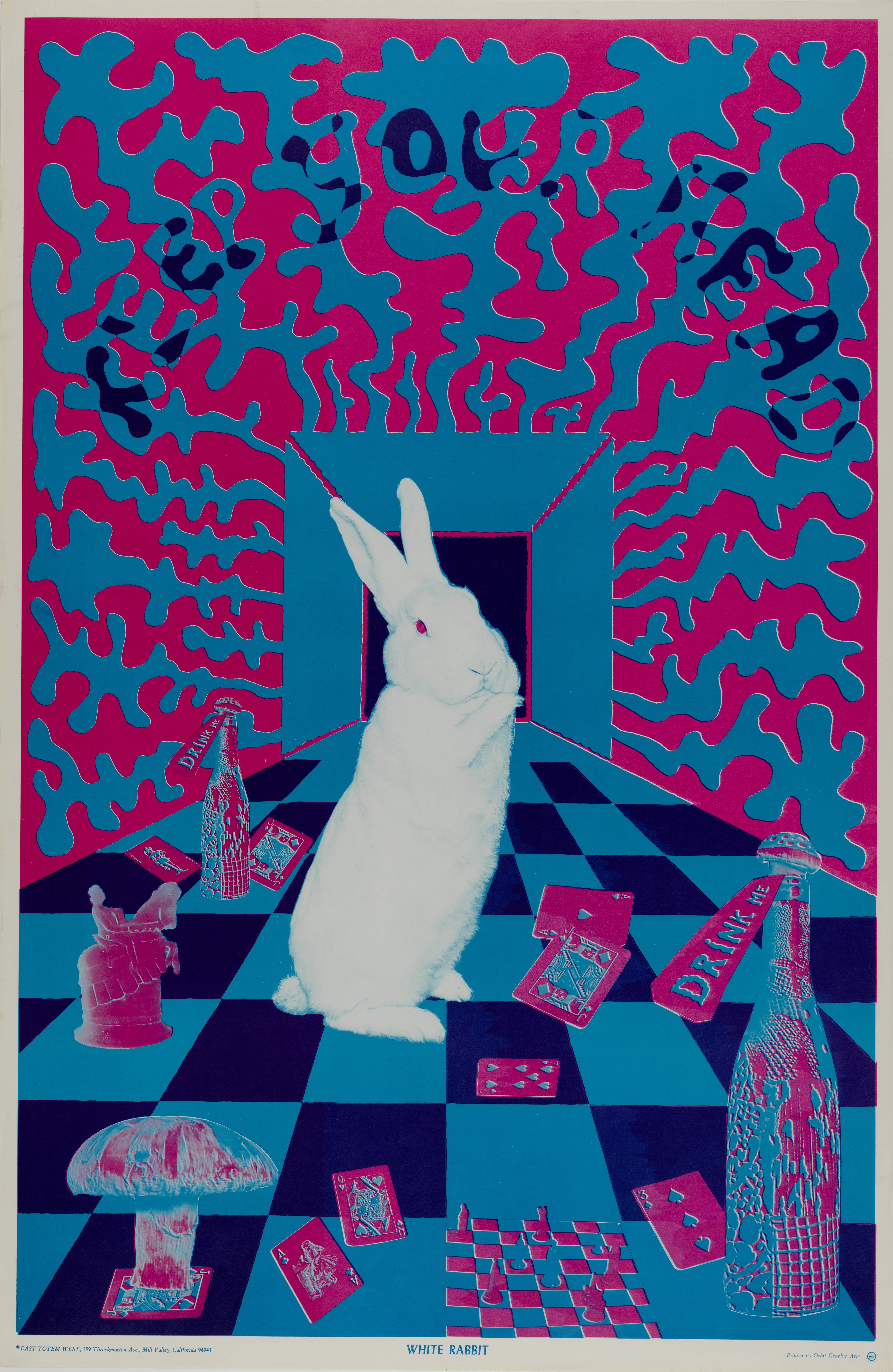 Poster with the text: "A QUICKLY TRANSMUTING FACTUAL IMAGE" in wavy red and blue patterns surrounding a white rabbit on a checkered floor.