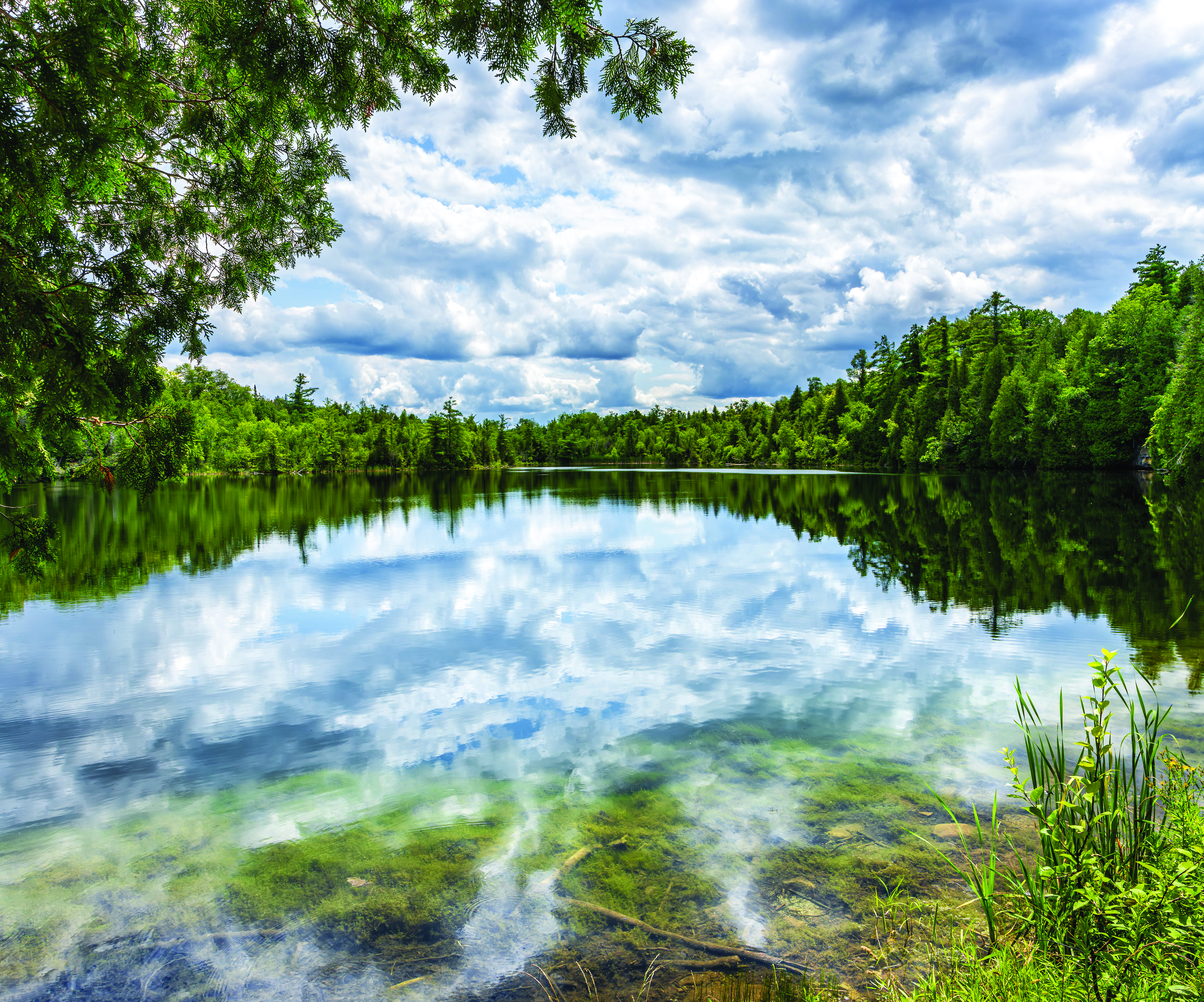 Crawford Lake, Credit: © Gilberto Mesquita, stock-adobe.com.