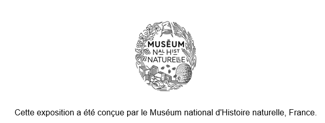 MNHN logo