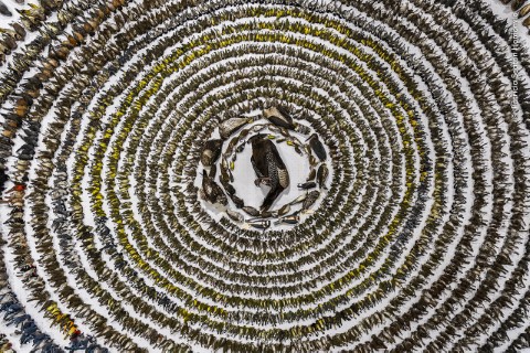 Concentric circles made of alternating light and dark natural materials forming a spiral pattern around a central dark shape.