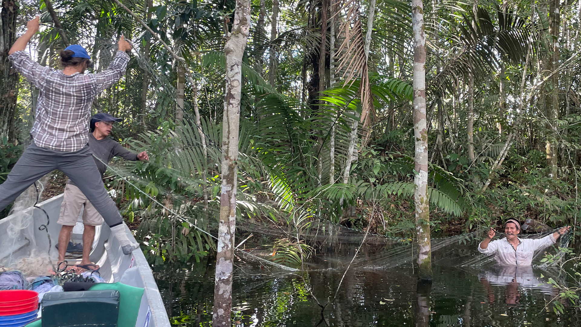 Team members set up a gillnet in Laguna Grande de Cuyabeno to catch fishes.