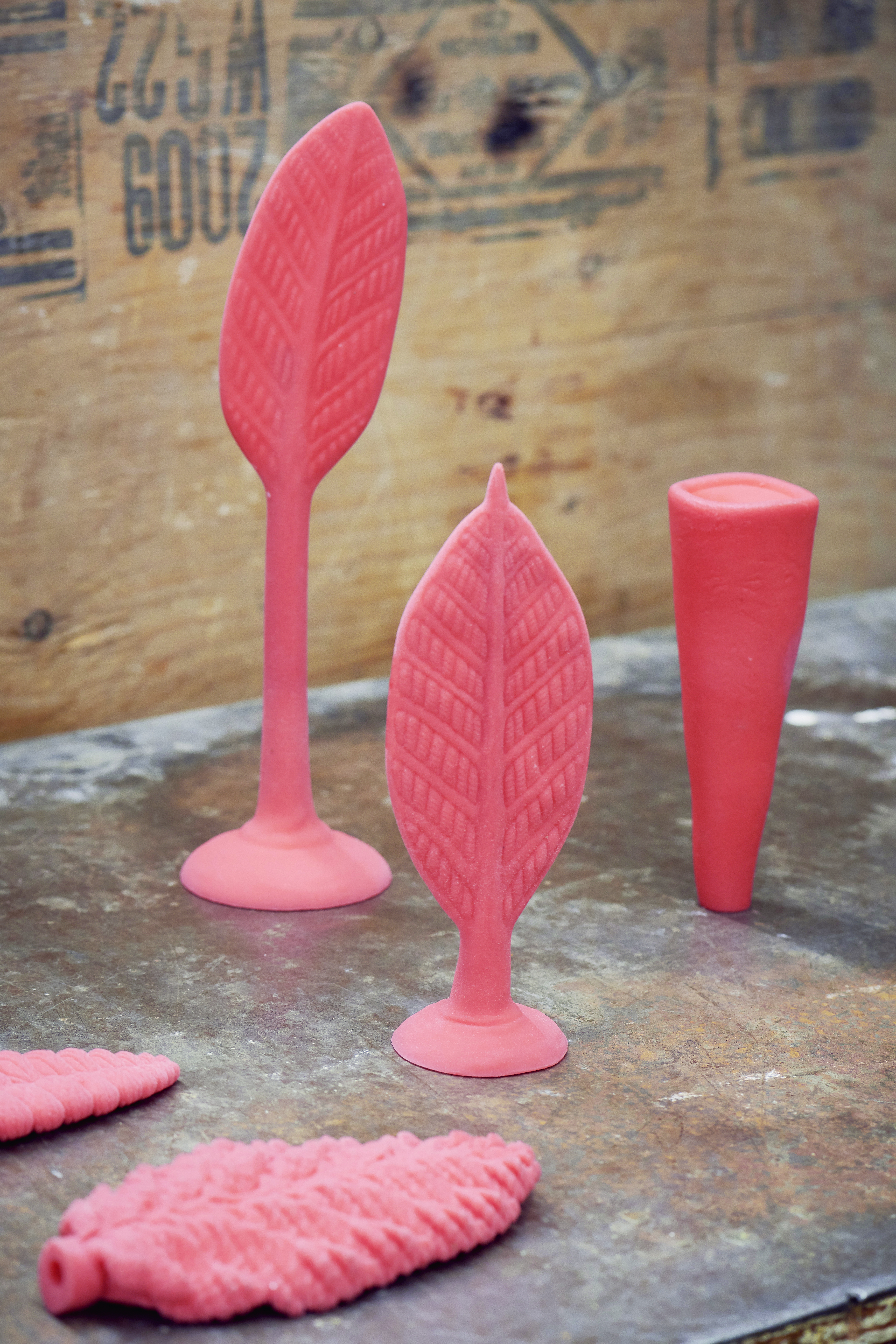 Modèles d'organismes multicellulaires en résine imprimés en 3D