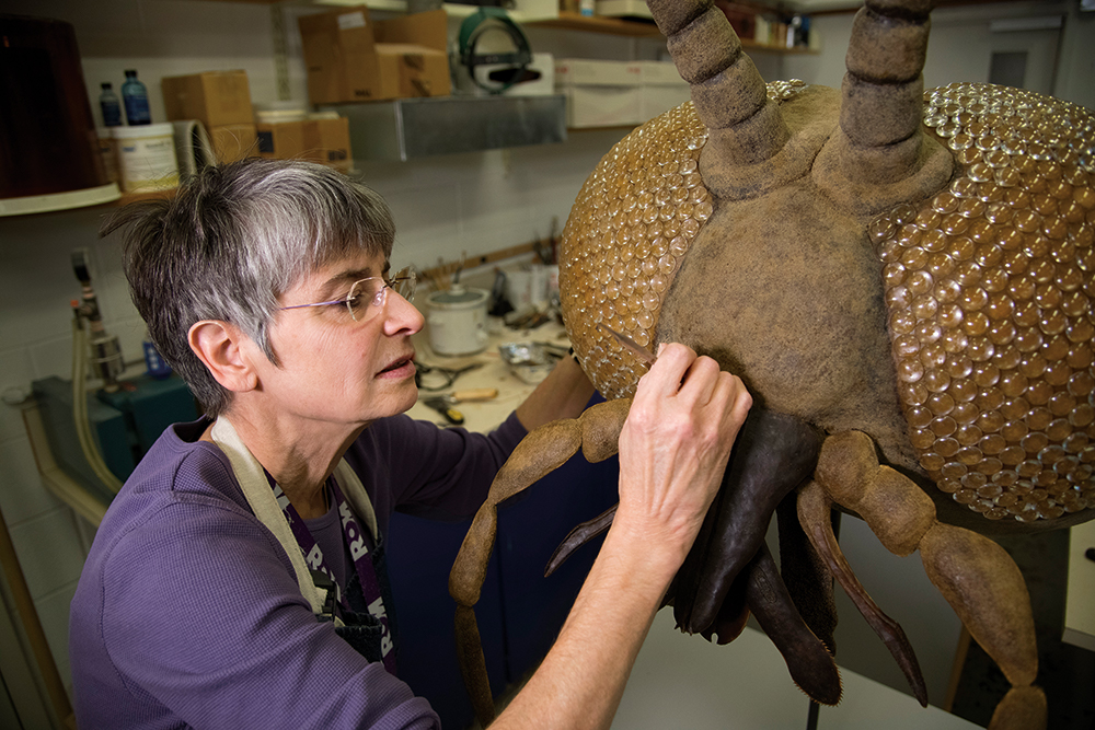 Dans un atelier, une femme aux cheveux gris courts travaille avec soin sur un grand modèle d'insecte brun.