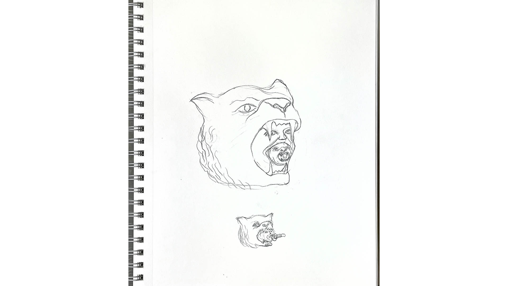 Dessin au crayon.