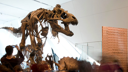 James and Louise Temerty Galleries of the Age of Dinosaurs