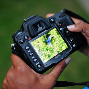 A DSLR camera is a great asset for wildlife photography. Photo by Brennan Caverhill