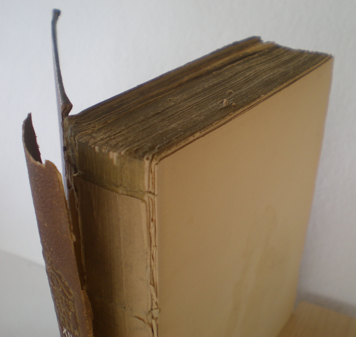 Thick beige book with a frayed spine and worn pages on a white background.