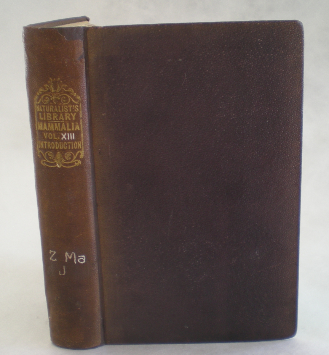 Brown leather-bound book with gold embossed text on the spine reading "CATALOGUE OF THE MUSEUM."