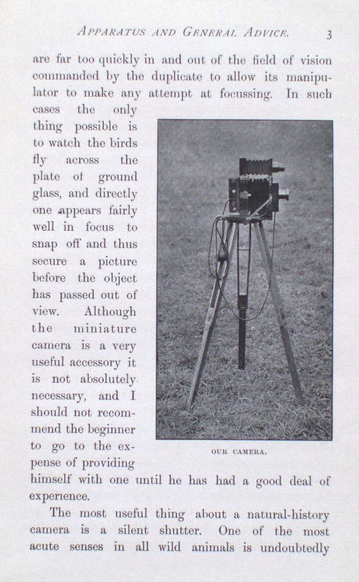 APPARATUS FOR GRAVITATING ARROWS.