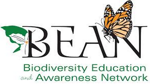 Bean Logo