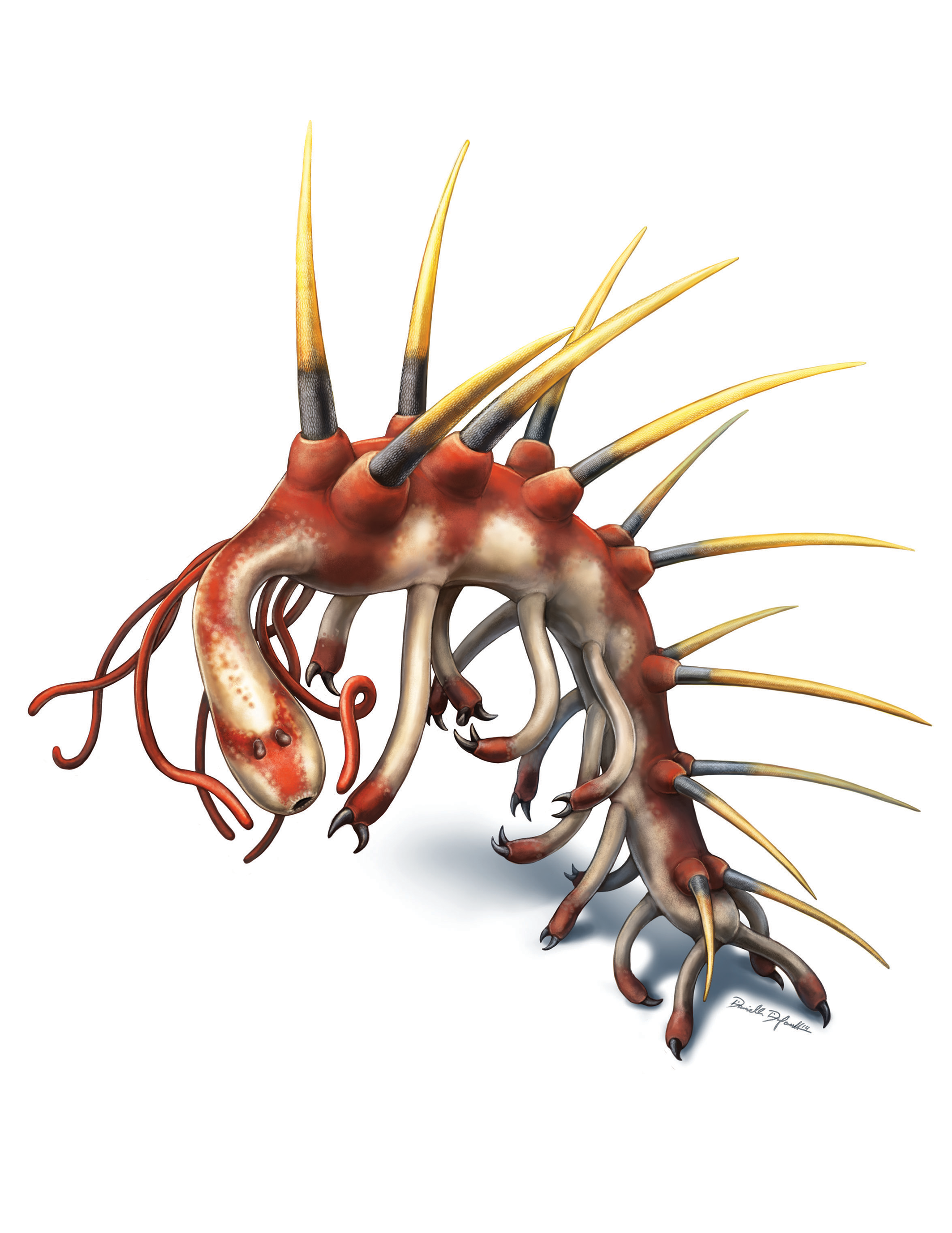 Hallucigenia. Credit Danielle Dufault. Hallucigenia. 11 pieces of Paleoart that bring the past back to life! Royal Ontario Museum.