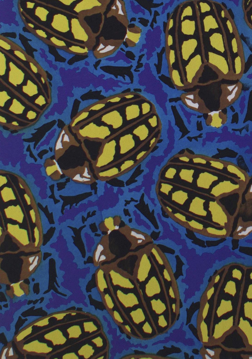 Illustration of yellow and black patterned beetles on a blue background.