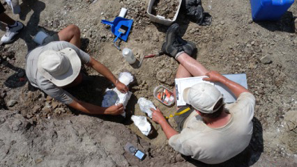 The SADP team at work in a bonebed.