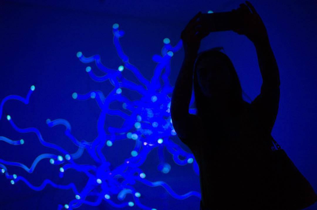 Sapphire Neon Tumbleweeds