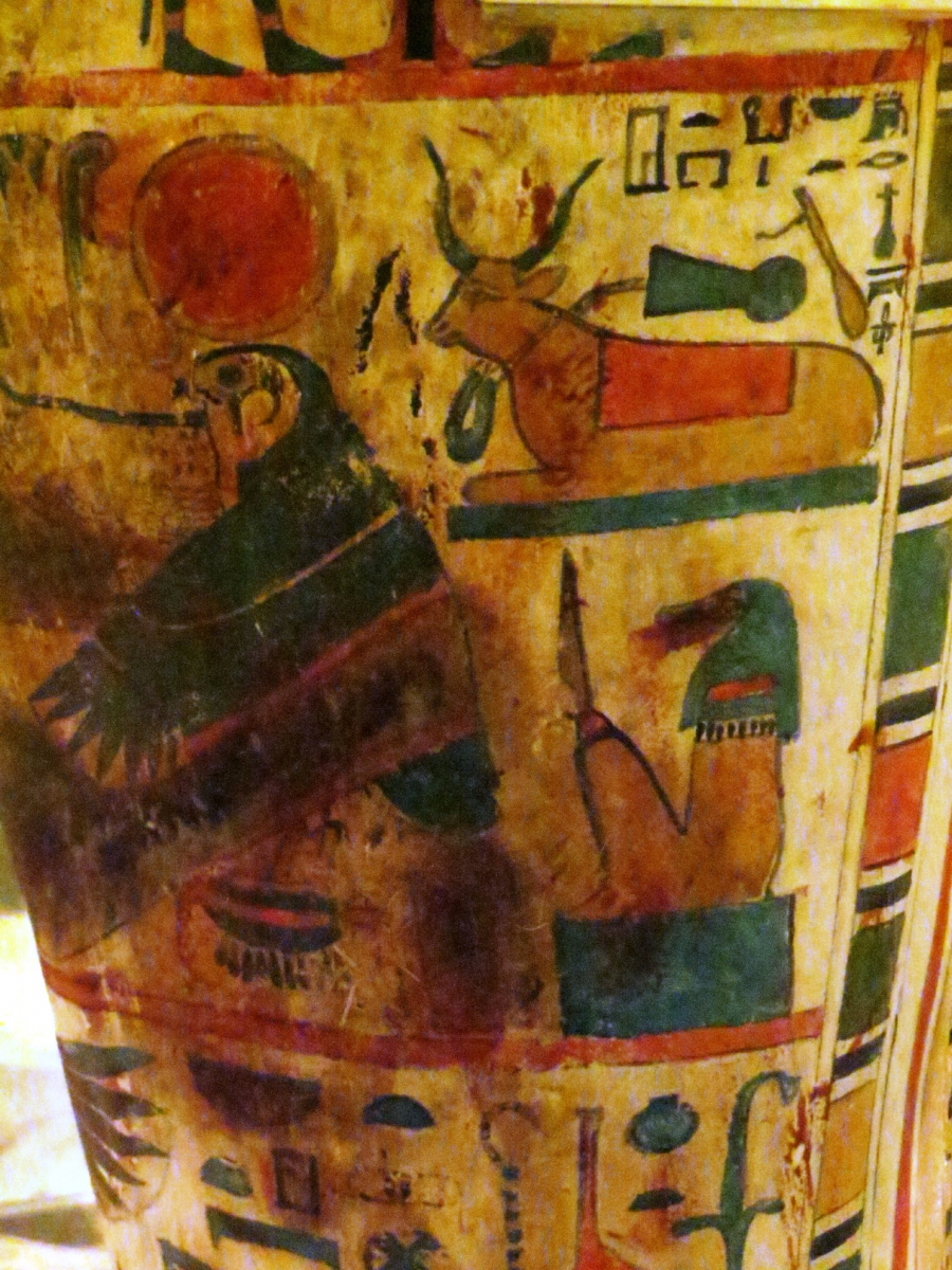 a cow on a coffin
