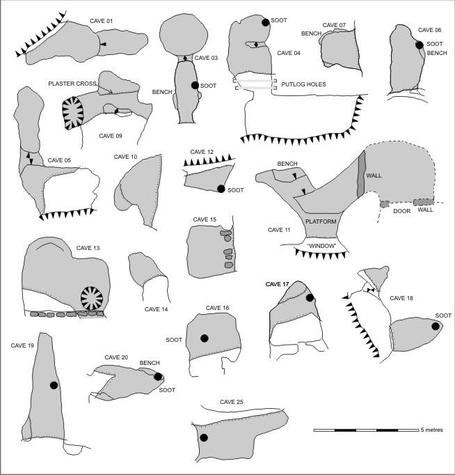 Various illustrated fish jaw and skull fragments labeled with "OME" numbers and scale bars at the bottom right.