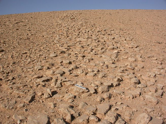 Barren, cracked, dry soil in a desert landscape under a clear sky.