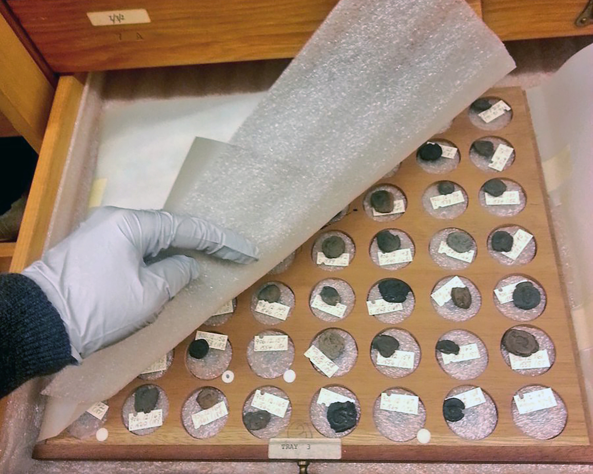 A gloved hand lifting a sheet of protective foam to reveal a tray holding circular fossil specimens arranged in rows.