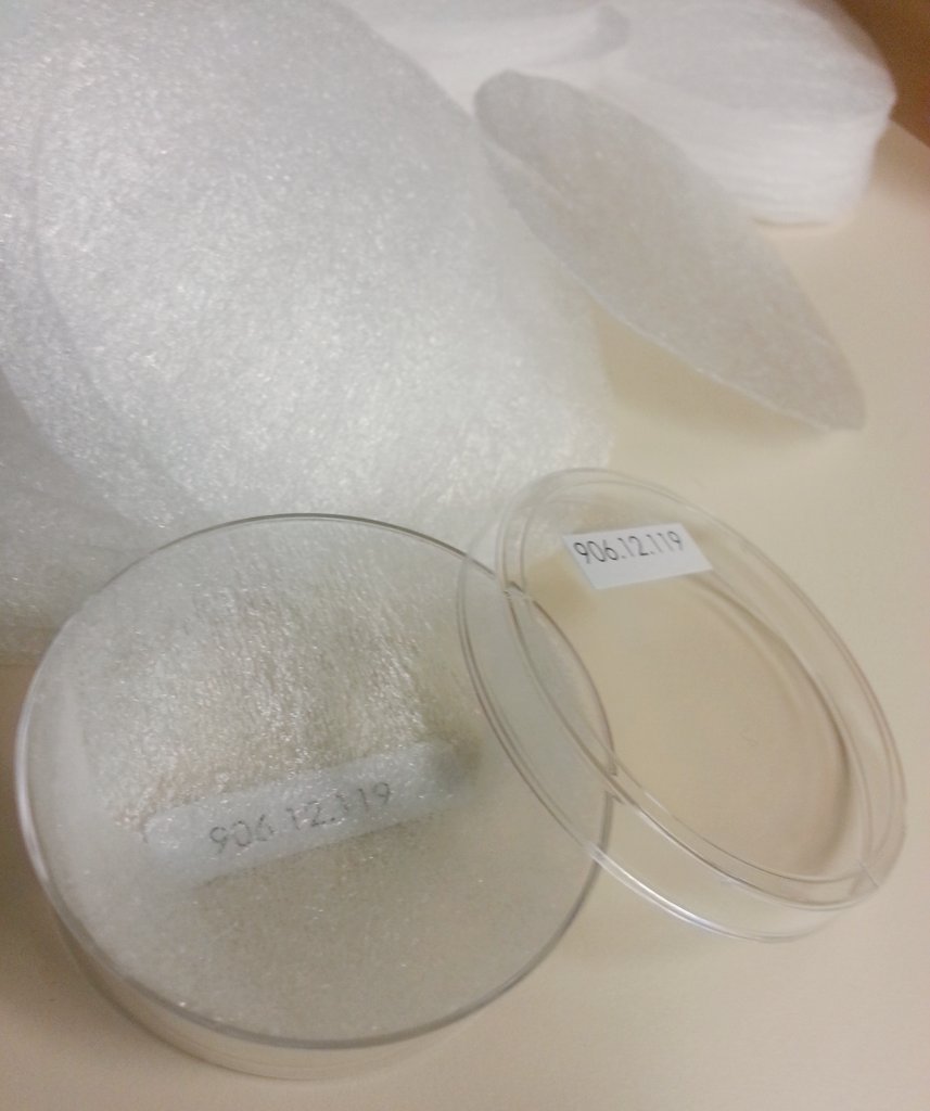 Two clear petri dishes, one with visible label "90E 937. 9" and the other with label "ROM 906. 12", on a white surface with white protective foam pieces.
