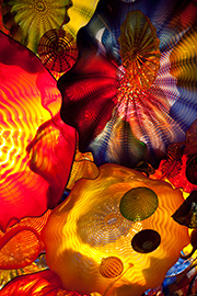 Uniting color, light, form, and space created magical experiences