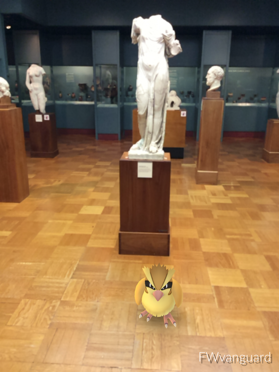Small animated bird standing on the wooden floor in an art gallery with classical white marble busts and statues.