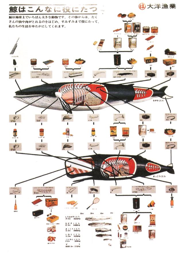 Japanese poster highlighting the many different products harvested from whales in Japan – some differing from the past usages in North America and Europe. Image by Joe Roman