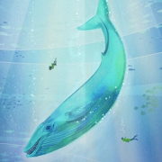 Illustration of a large blue whale with two small divers below it in an underwater scene.