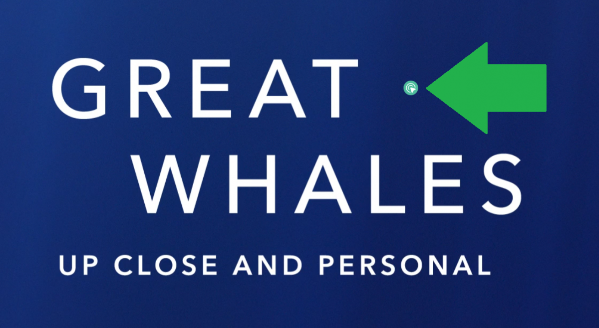 A screenshot for Great Whales