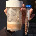 Two hands each holding a clear plastic container filled with layered soil and small rocks.