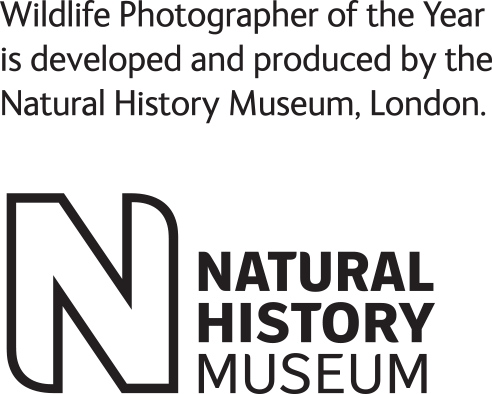 Wildlife Photographer of the Year is developed and produced by the Natural History Museum, London.  NATURAL HISTORY MUSEUM