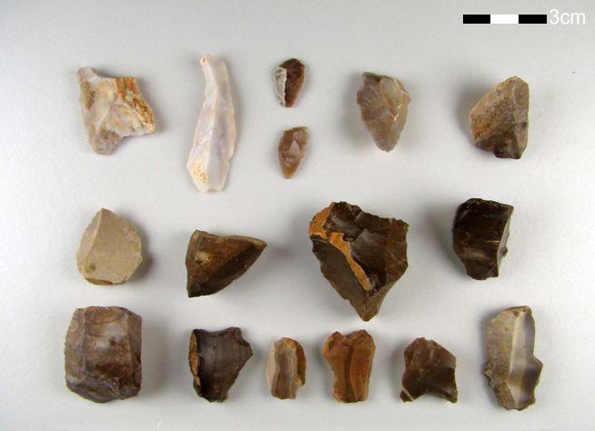 Fifteen small brown and tan stone tools and flakes arranged on a white background with a measurement scale.