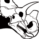 Reconstruction of the skeleton of Wendiceratops pinhornenis Credit: Danielle Dufault