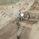 Removing the tons of rock from above the fossil-bearing bonebed layer where the new dinosaur was found (summer 2012). Credit: David Evans