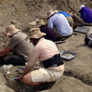 Field crew systematically excavating the Wendiceratops bonebed. Credit: David Evans
